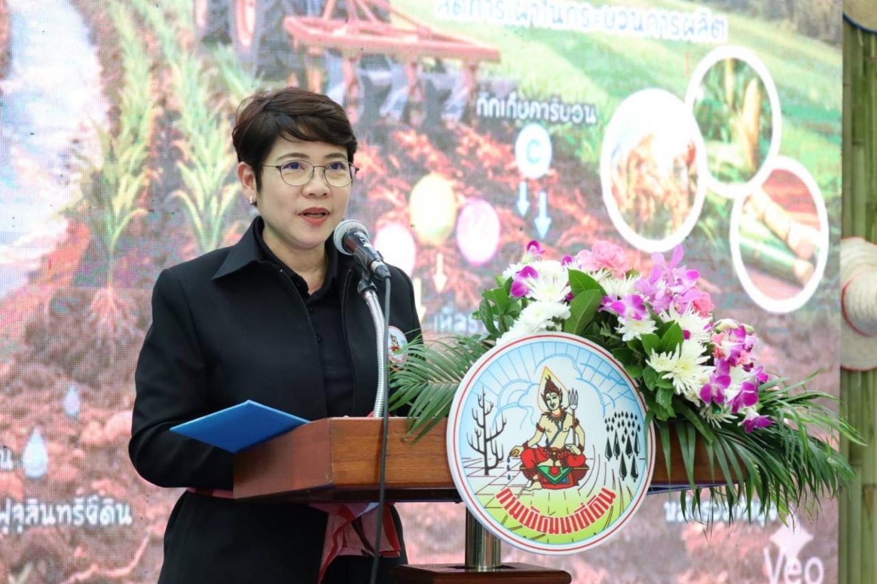 อธิบดีพด. 