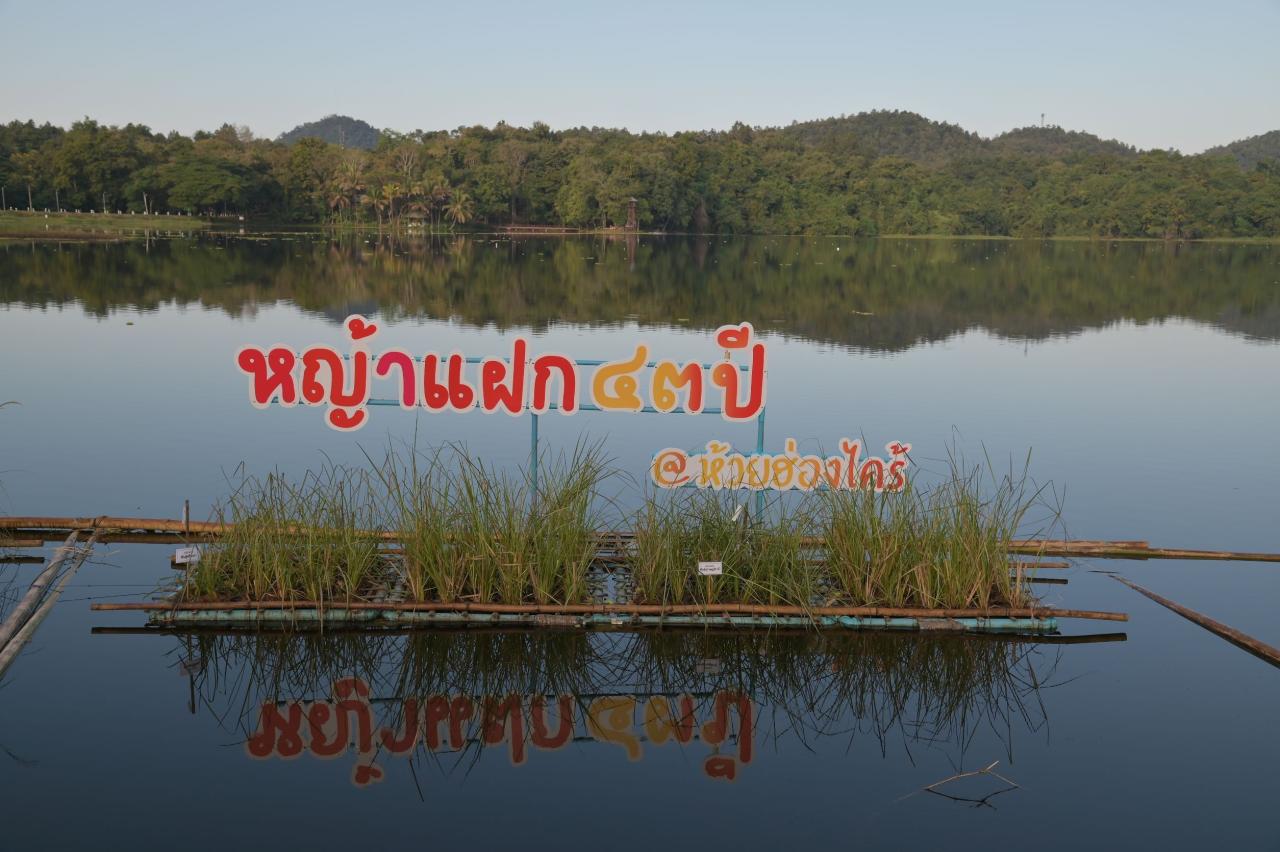 slide 13
