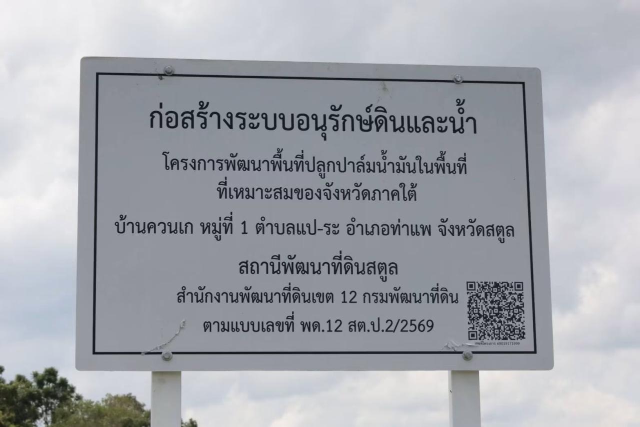 slide 11