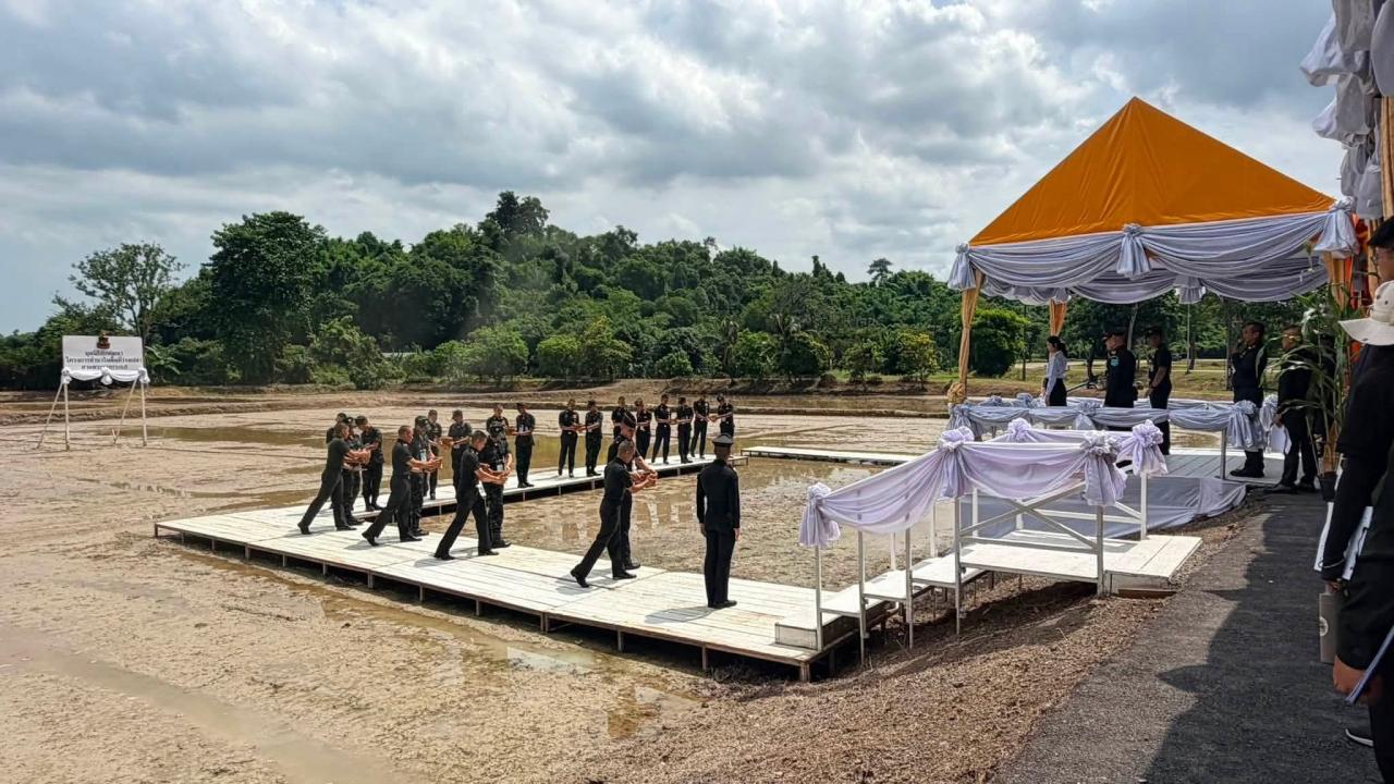 slide 8