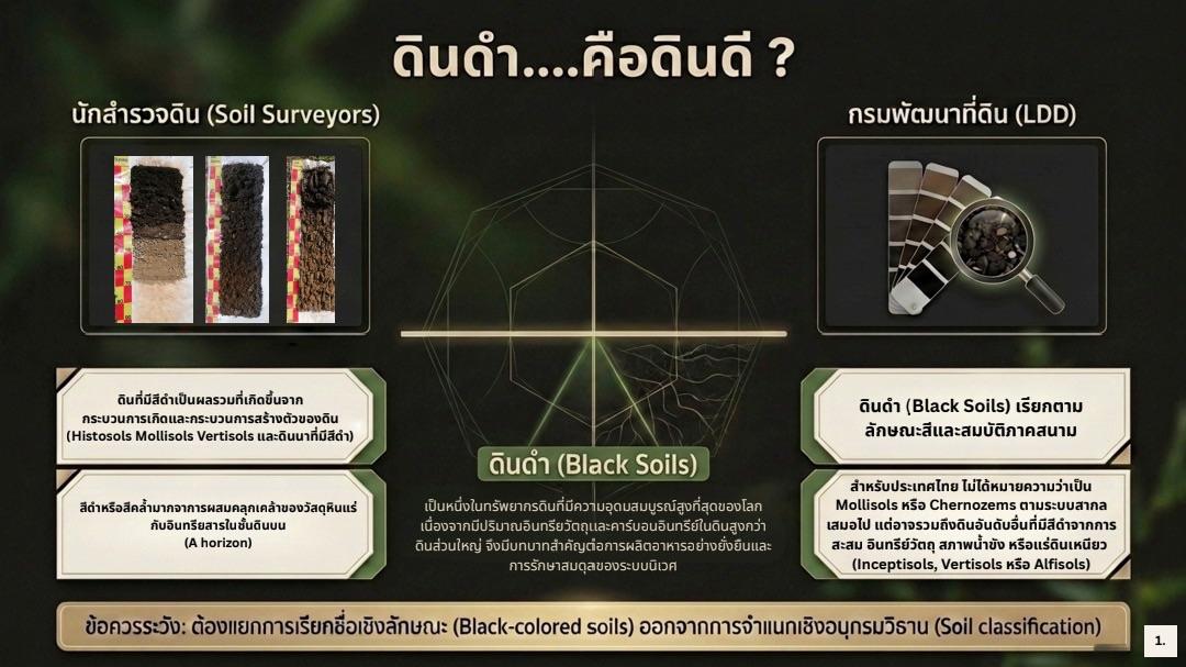 slide 14