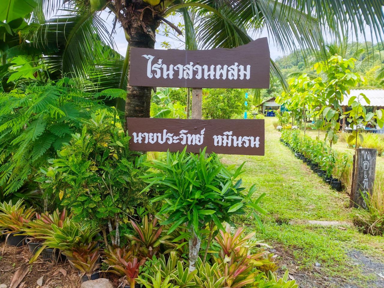 slide 11