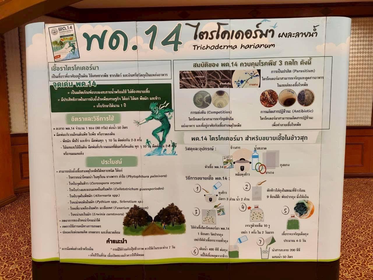 slide 7
