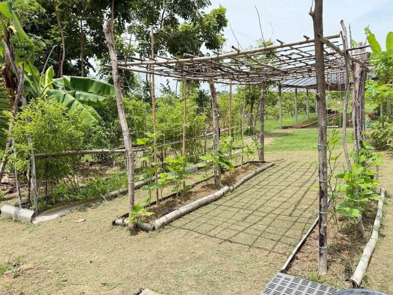 slide 12